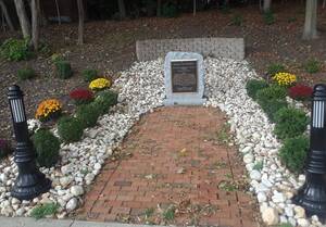 Carousel image fc5d73bdba87cf7420dd mini magick20250119 443252 c77c0k