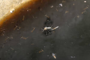 Carousel image 1f4db5e8c820f2cd70f6 mini magick20240809 666896 1af3n32