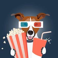 Carousel image 5bbe3893b4934f5e1d70 03b48b72e6659a5fca3c movies