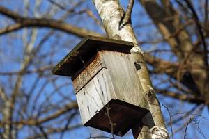 Carousel image 78cf370877bf46163e4d shutterstock 2506321383