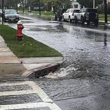 Carousel image 05afc49baabab509d55e mini magick20250201 2230528 1u16n02