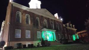 Carousel image 2ceaf0c85d4b29fac8ed best crop 7b021fd24a067ac543a2 operation green light courthouse 2025  2 