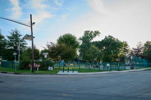 Carousel image 7755d06c28e8704ebb9e mini magick20240506 31595 16niop3