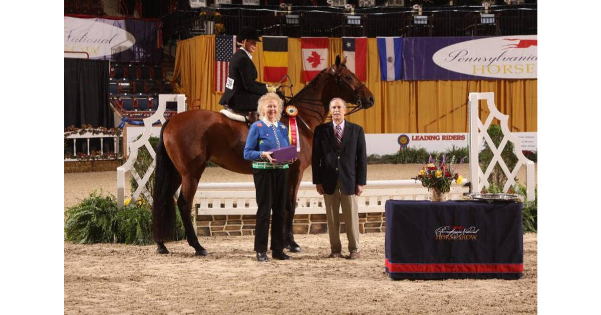 Pennsylvania National Horse Show wraps up for 2017 Berkeley Heights, NJ News TAPinto