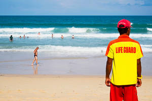 Carousel image 330337219304689a29c4 shutterstock 1690029547