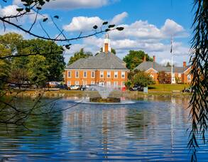 Carousel image 983db92dfb99415ec2bd mini magick20241029 1567816 1fsfz5g