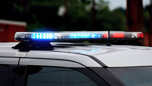 Carousel image ac7b8464531f6864c392 mini magick20260304 1949525 8i2rg6