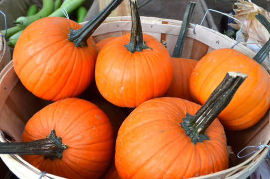 Top story 9bd9a7ecb5c58b9c757e mini magick20201025 10574 1fr2raw