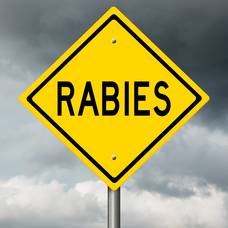 Carousel image 0502e708955fdebee2df shutterstock 2082447907