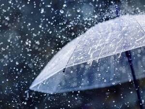 Carousel image 6548918c79f82e54671f best crop 2a7c3d80d1e60976205a rain shutterstock julia sudnitskaya