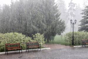 Carousel image a108bf3ca619778f5d5e shutterstock 2327875345