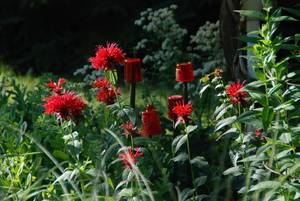 Carousel_image_107f4516c57dacd82115_mini_magick20200909-19893-1ipudh7