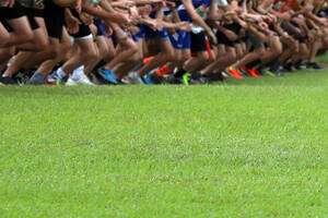 Carousel image 89009fdca3ba69411993 mini magick20241126 1359930 1psokkd