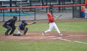 Carousel image adf15343c76728a0745c mini magick20250628 3336454 1lh97nr