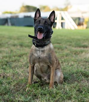 Carousel image 305b111a28fcf5331e60 best crop 7c9b149129e230e31036 screenshot 2024 08 01 at 2.15.38 pm