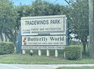 Carousel image 5bd733bfe8ed22dc25ba mini magick20251001 4125355 1n1k1dd