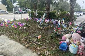 Carousel image 766415375f2aec510c8a best crop 599718a1125b0c78fd24 screenshot 2024 07 14 at 12.30.05 pm