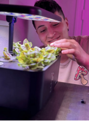 Carousel image 7748836d833bf734f104 best crop 8064860fe30ef60aef18 screenshot 2025 09 26 at 4.12.30 pm