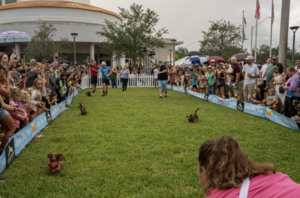 Carousel image 93d74cc8fc1c66ce4332 best crop a407a9dc6465f6f991d9 screenshot 2025 09 26 at 3.20.05 pm