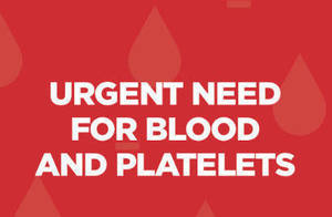 Carousel_image_a8a2012c5e6de6d2d35b_mini_magick20200908-15833-19945kk