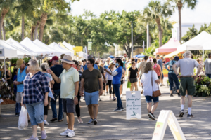 Carousel image b54daa8178a8ef40b177 best crop 97ee74f039ddd3b76aec screenshot 2025 03 11 at 10.41.14 am