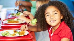 Carousel image d020b1386b4ae19c29a7 mini magick20260213 989862 18k3hy2