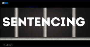 Carousel image 5df3694b214417102cb3 mini magick20260424 1223122 1gutq3m