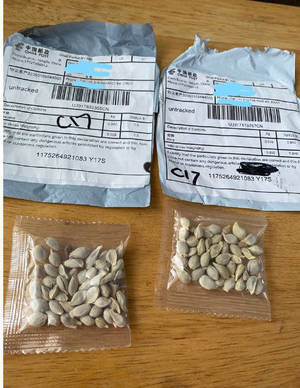 Carousel_image_a01af2d759f38a8e22cd_mini_magick20200730-22105-tv2ix4