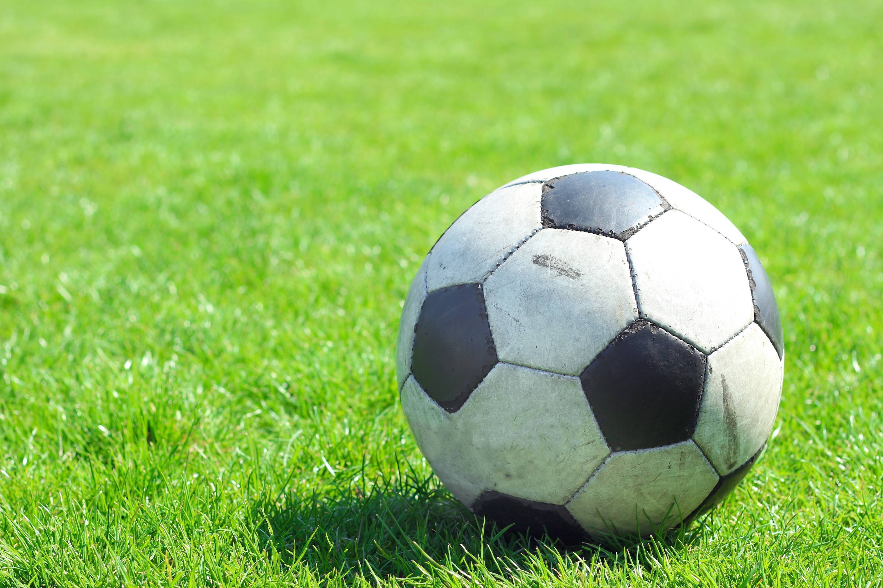 Stoneman Douglas Girls' Soccer Win Home Playoff Game, Advance to Regional Semifinals