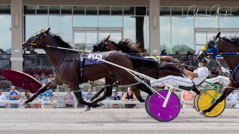 N J Trainer Horse Weather The Storms To Make Adios Pace Final