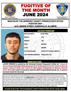 Carousel image 2b07dc683223312350d9 best crop 0cbf6b77b217af38860a sompixscpofugitiveofthemonth624