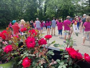 Carousel image 72d8fc76c68aad667037 best crop bf4cf81985977e4054eb sompixflowerstruckcrowdmoney