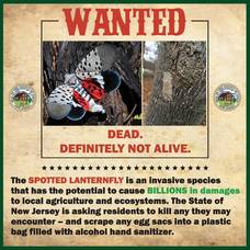 Carousel_image_0924e300af556210c58c_mini_magick20200905-17631-1w4p2oa