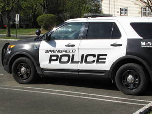 Carousel image b192735757bf21dd1964 best crop 973eafcd0226d1e4f422 springfield police car 4 26 24