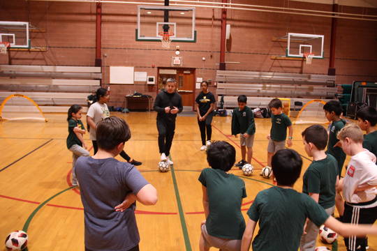 Top story 2fa6f3b9bc15dcdeb54f mini magick20200313 18945 10pctl8