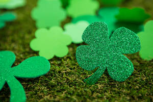 Carousel image 0f305ea7a6a55a34f130 mini magick20260306 38383 1wzvb0g