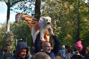 Carousel image 25f30de6156b6c4af8b2 best crop a014de7bda55ab709223 mini magick20241010 3114808 14wmeoz