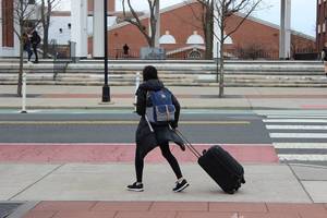 Carousel_image_8ba419a71b951f200c97_mini_magick20200311-4522-1h0e5k2