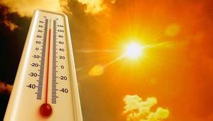 Carousel image 8f8527082b99a198cb0e best crop 9da8f2656d725fd9f0c2 summer heat shutterstock 2472353719