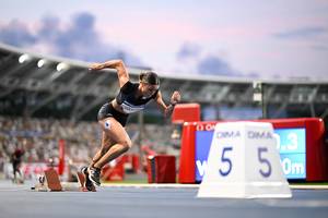 Carousel image 286b310d8c2bb8fff9dc mini magick20240701 3977 1gzfwr2