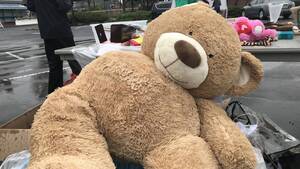 Carousel image 19b2738d84afa4bb0709 f17f94d5ce3fa727bf0a 584f6b0ebdca71cf386b teddybearwestfieldnjfreeswap2019