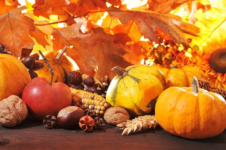 Food Available for Those in Need on Thanksgiving Thanks to The Giving Back 2020 Project