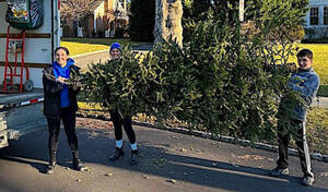 Carousel image 1e1146 hristmas tree pickup