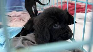 Carousel image 5cf6dd974f7ccfba6248 best crop 5d138cb0e88fbbb14207 best crop bdc831825508592aeac5 tricounty 4