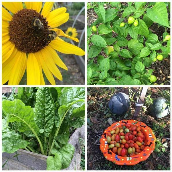 Union County Freeholder Board Offers Uc Means Green Grants For