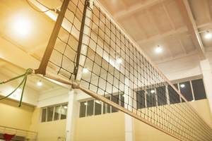 Carousel image bfcc68a05a2ce38f355d shutterstock 2267007707