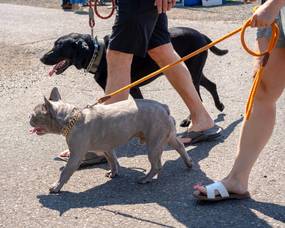 Carousel image 13874b548645dd88c893 shutterstock 2494041659