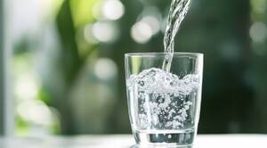 Carousel image 1da3cb6e818adaaf015e 8abf6926a818acf02f2e shutterstock 2506026359