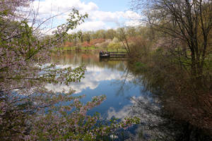 Carousel image 461f97 arinanco ark