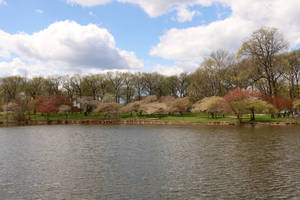 Carousel image 53d290 arinanco ark